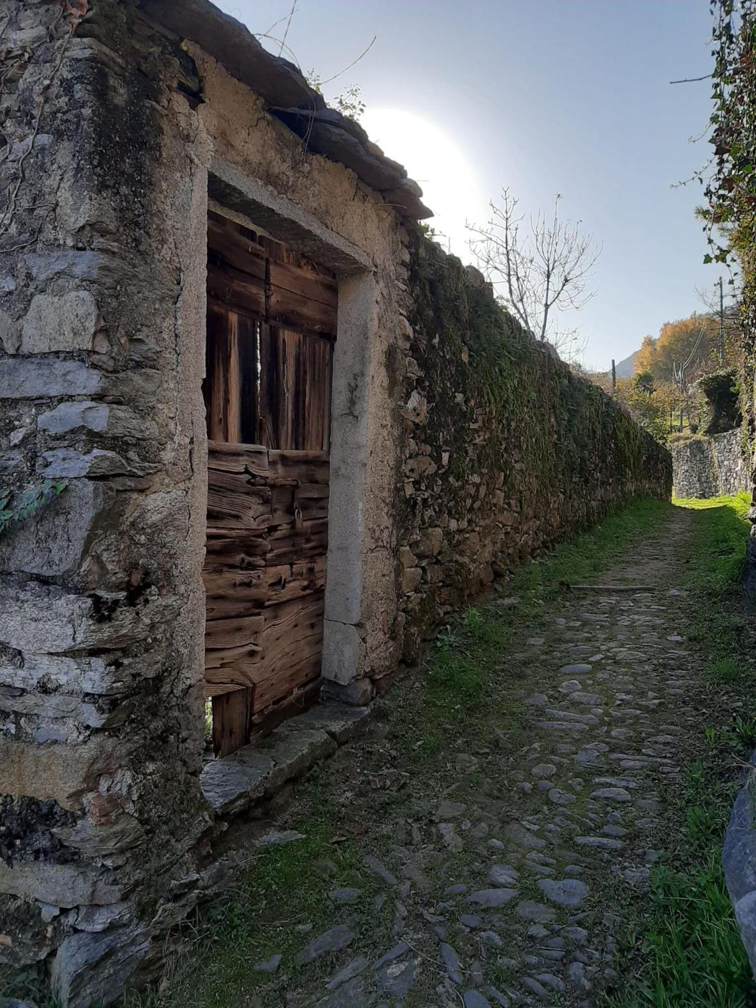 Residenza Le Camelie Appartamento